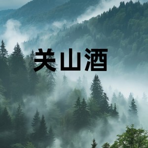 Album 关山酒 (DJ铁柱 Wave版) from 邓寓君(等什么君)