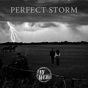 ดาวน์โหลดและฟังเพลง Perfect Storm พร้อมเนื้อเพลงจาก Jay Webb