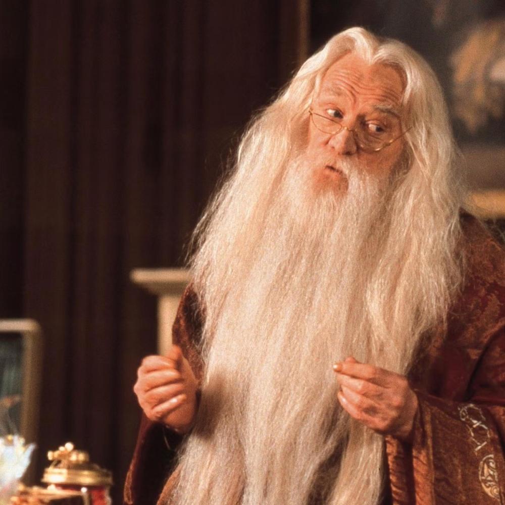 Dumbledore (Explicit)