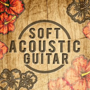 Pepe el Marques的專輯Soft Acoustic Guitar