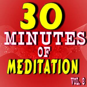 Tim Lewis的專輯30 Minutes of Meditation, Vol. 8 (Special Edition)