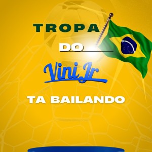 ดาวน์โหลดและฟังเพลง Tropa do Brasil, Vini Jr Tá Bailando พร้อมเนื้อเพลงจาก Dj Pedrinho