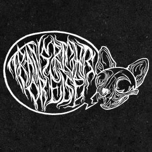 收聽Thotcrime的A Better Kind of Shot (Explicit)歌詞歌曲