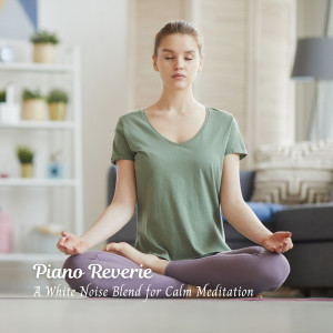 Amazing Jazz Piano Background的专辑Piano Reverie: A White Noise Blend for Calm Meditation