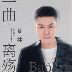 Listen to 一曲离殇 (DJ沈念版) song with lyrics from 暴林