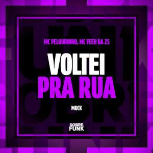 ดาวน์โหลดและฟังเพลง VOLTEI PRA RUA (Explicit) พร้อมเนื้อเพลงจาก MC Pelourinho