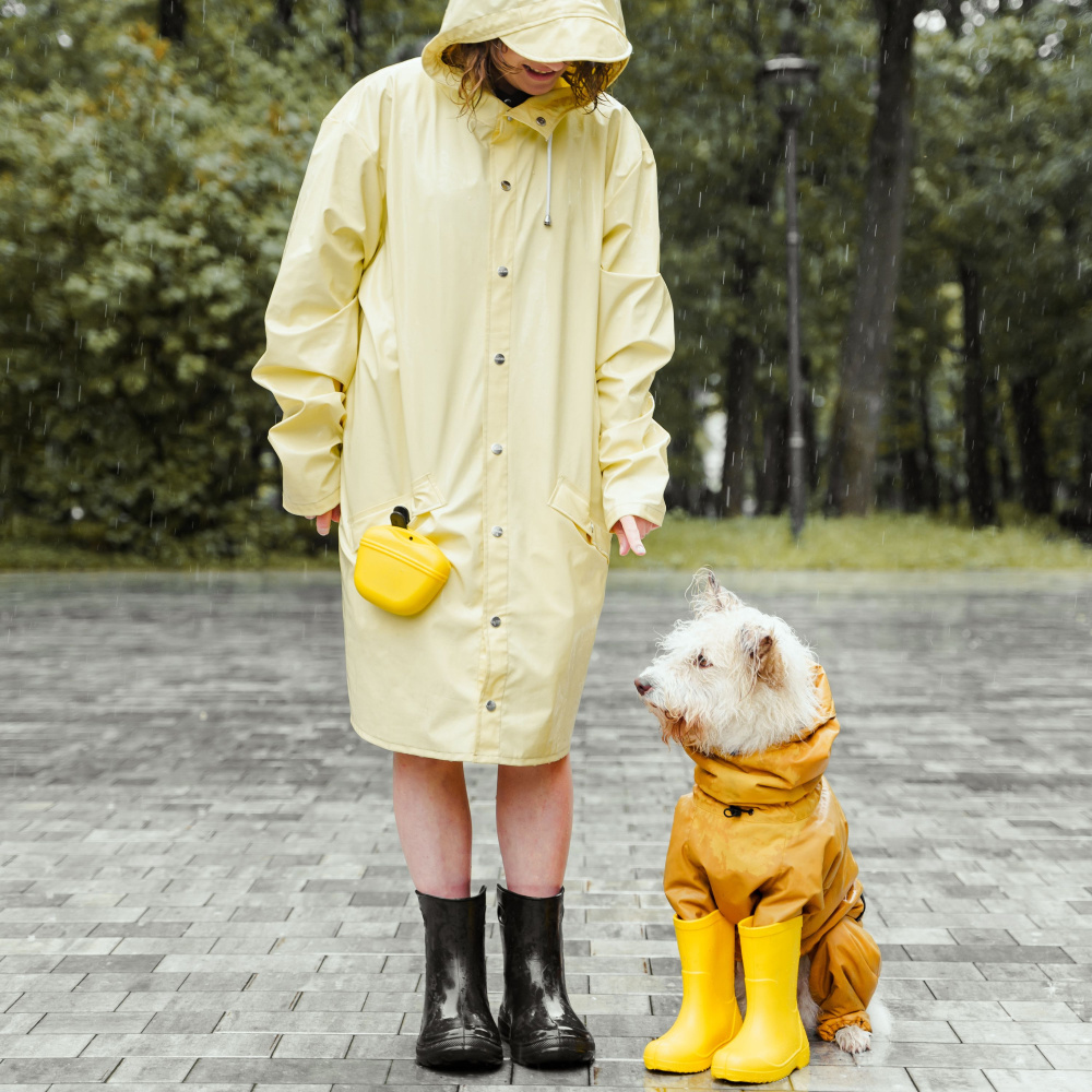 Drizzle Dance of the Domesticated