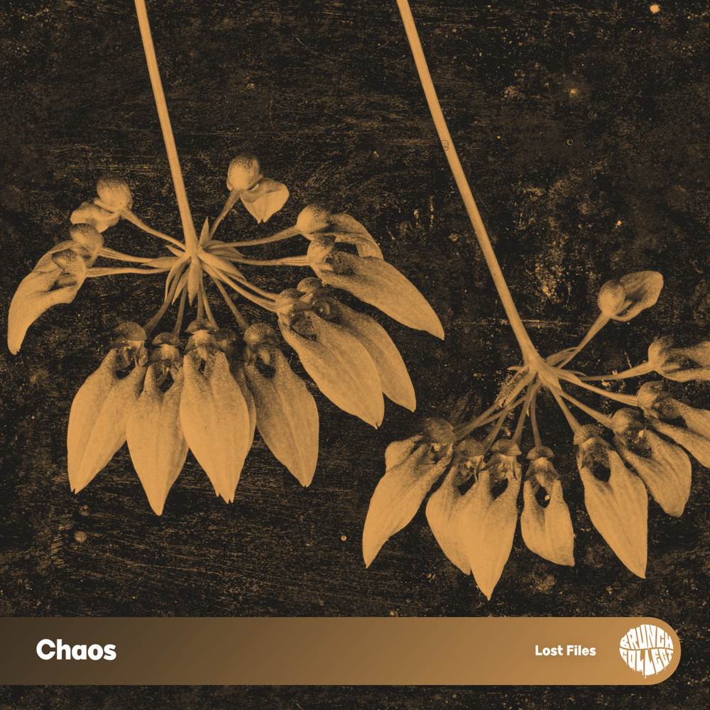 Chaos