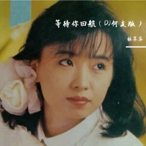Album 等待你回航（DJ何友版） oleh 林翠萍