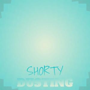 Listen to Decline Punt song with lyrics from Iril Pman