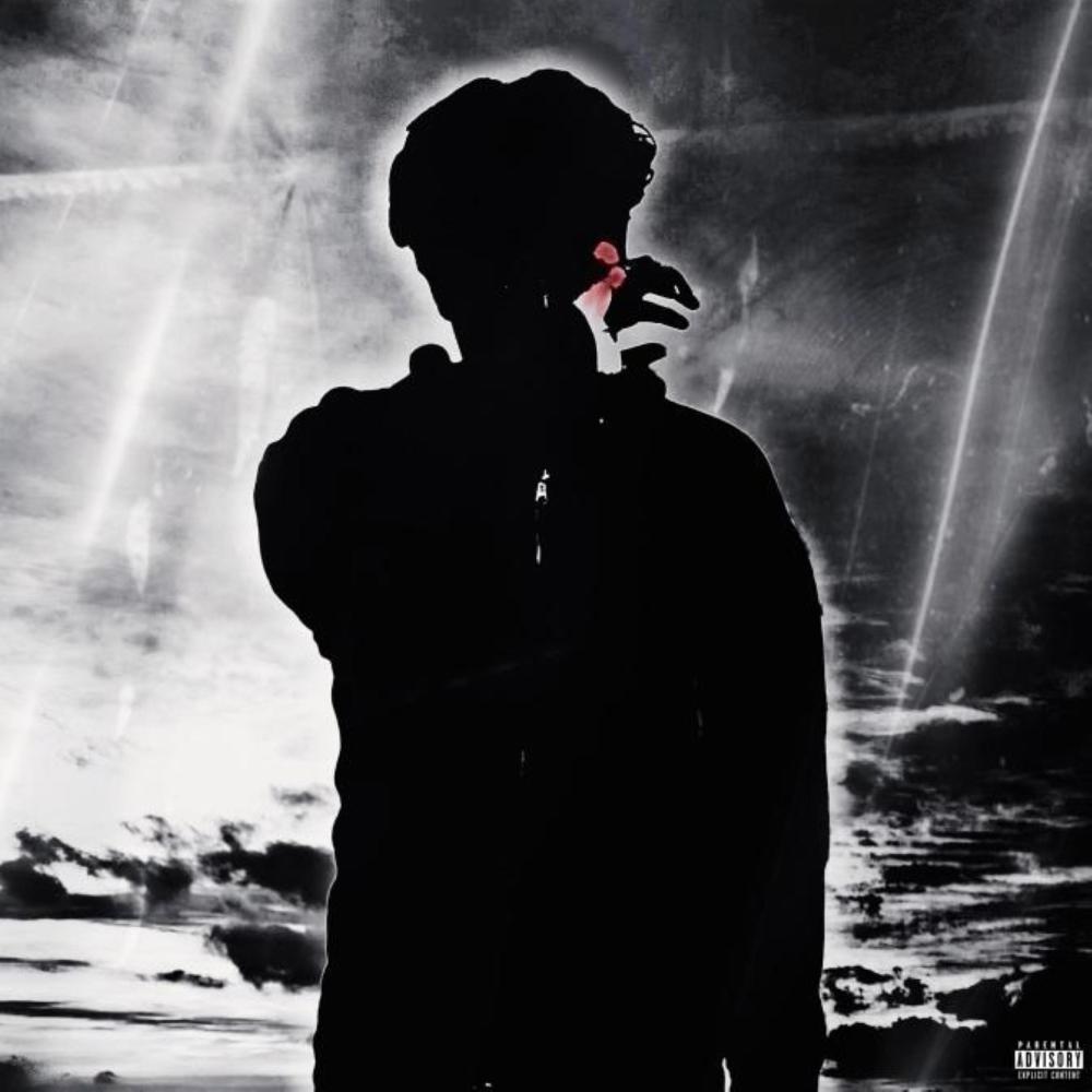 viisage (feat. hxmartia & DefNOTBio) (Explicit)
