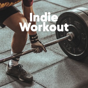 Various Artists的專輯Indie Workout