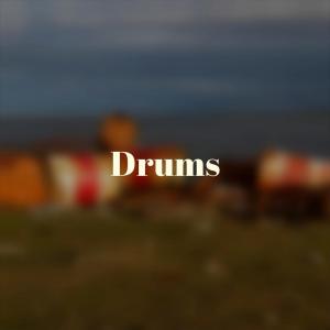 Various的专辑Drums