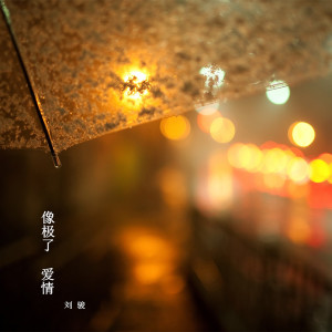Listen to 像極了愛情 song with lyrics from 劉骏