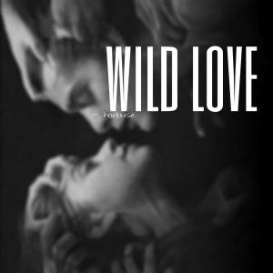 收聽REa7的Wild Love (Remix Krysta Youngs)歌詞歌曲