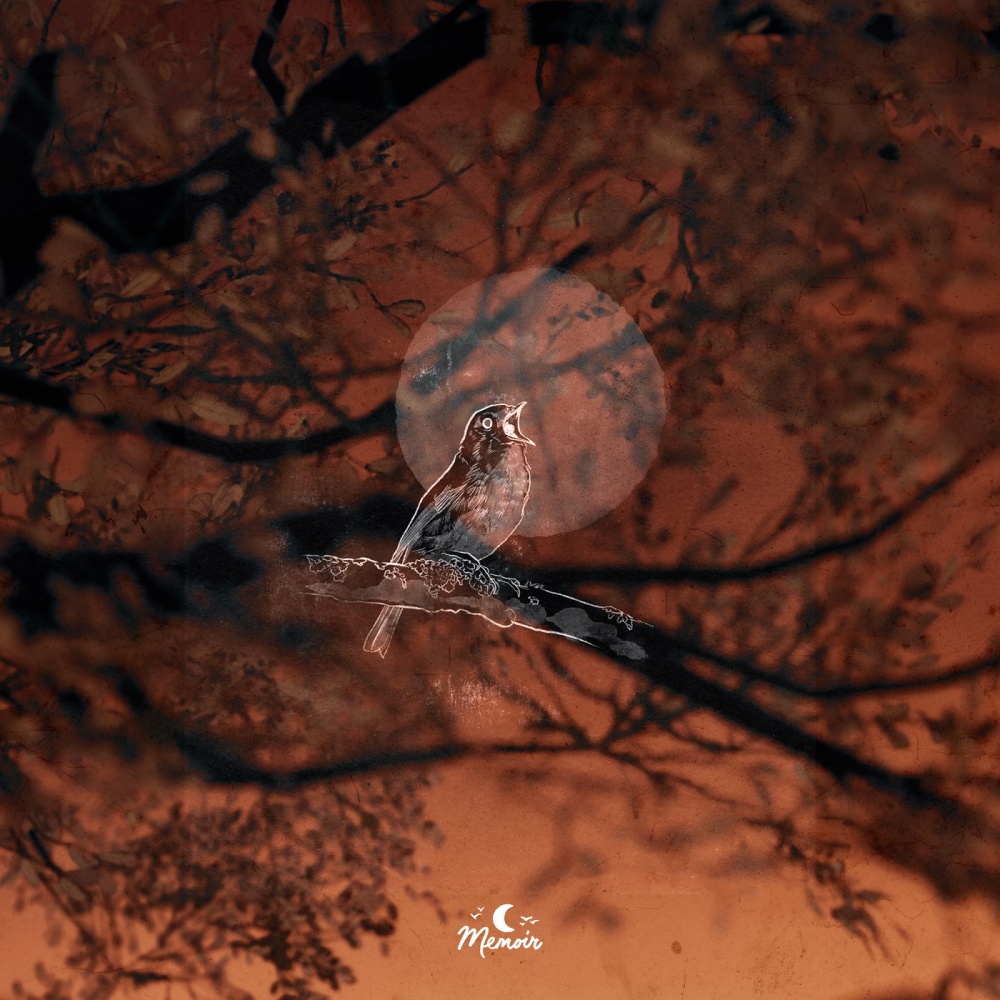 Fields (Original Mix)