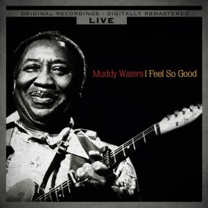 Dengarkan I Feel So Good lagu dari Muddy Waters dengan lirik