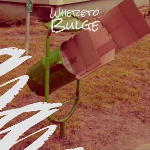 Listen to Bladed Quality song with lyrics from Gise Wadon