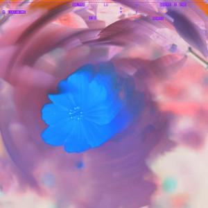 ดาวน์โหลดและฟังเพลง Luv-N-Me (DJ Q Remix) พร้อมเนื้อเพลงจาก Baltra