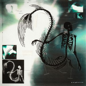Album Сирена (Remix) from White Punk