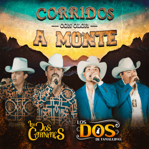 Listen to Juan Ramos song with lyrics from LOS DOS DE TAMAULIPAS