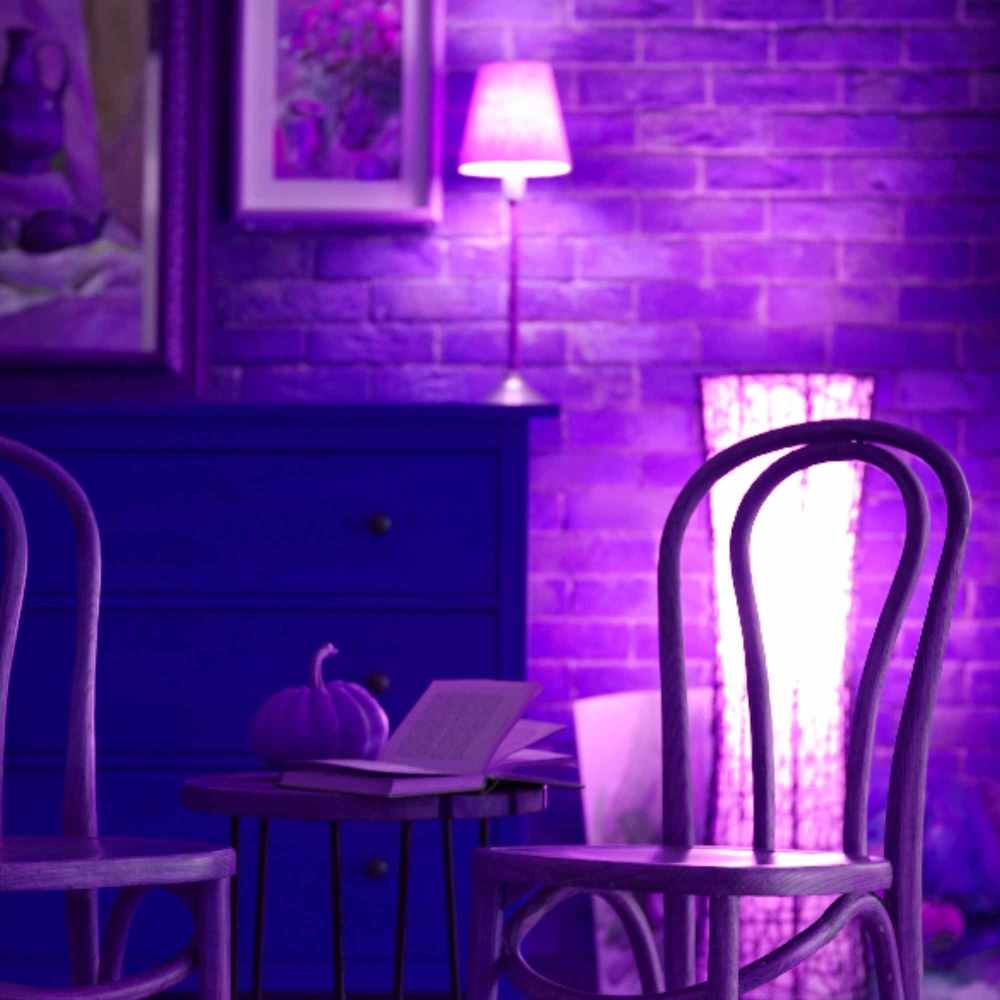 Stylish Ambiance for Soothing Monday