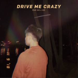 Listen to Drive Me Crazy song with lyrics from Par Sg