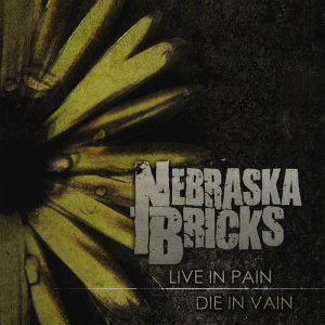 收聽Nebraska Bricks的Dying Wish歌詞歌曲