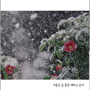 收聽전교조전국노래패연합的小小的願望(MR)歌詞歌曲