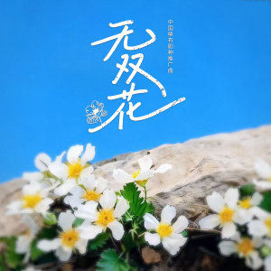 Listen to 无双花 (童声版) song with lyrics from 山娃娃
