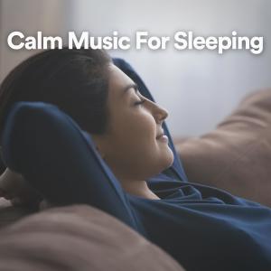 Album Calm Music For Sleeping from Meditation Zen