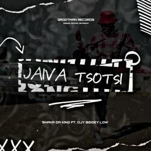 Listen to Jaiva Tsotsi (feat. Biggey Low) song with lyrics from Shaka Da King & Maphepha