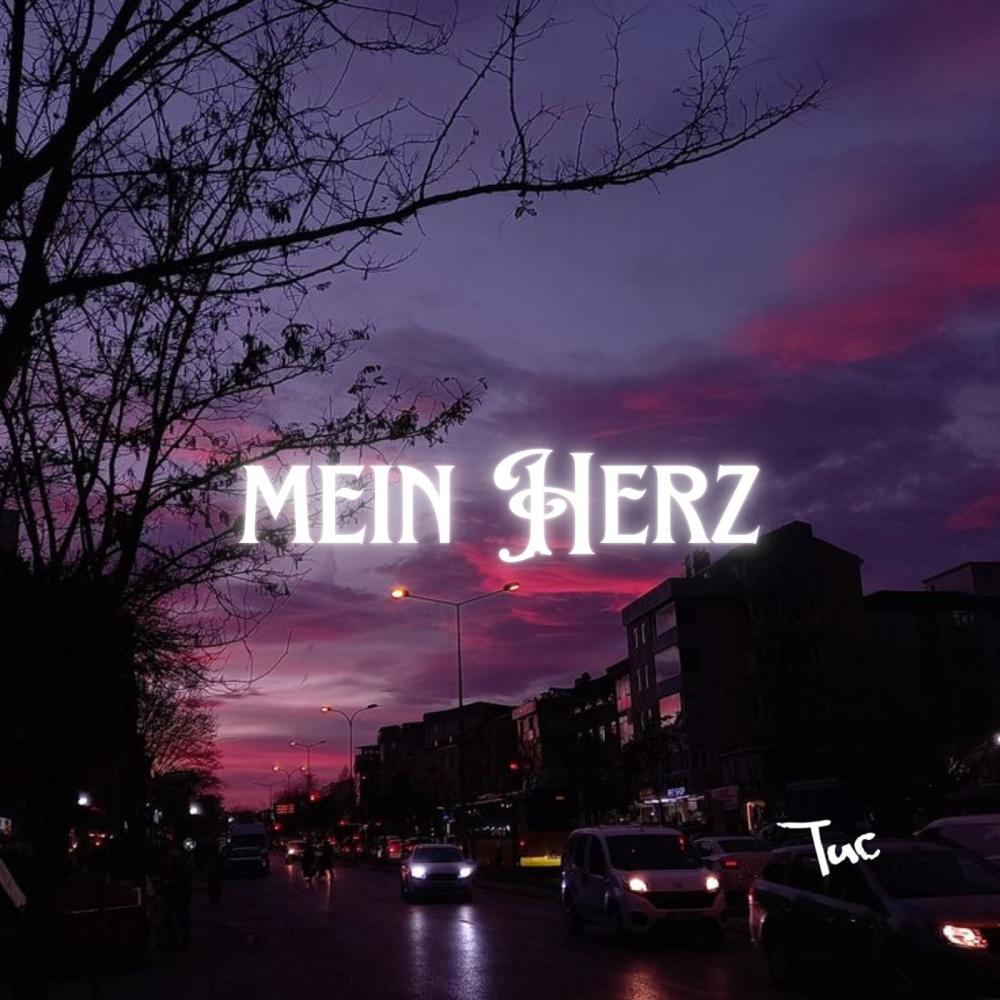 Mein Herz (alternativ version) (Explicit)