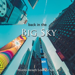 Album Back in the big sky (Miami Beach Lounge Vol. 2) oleh Billy Paul Williams