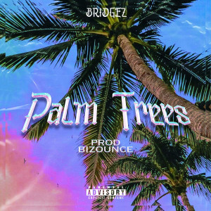 Album Palm Trees (Explicit) oleh BridgeZ