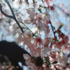 When the flowers fall dari EachONE