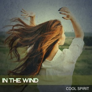 Cool Spirit的專輯In the Wind
