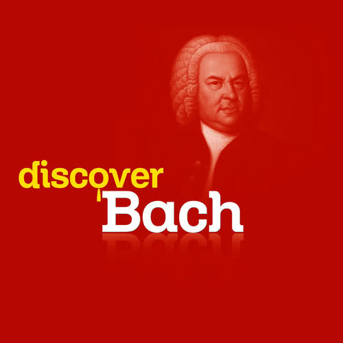 Brandenburg Concerto No. 6 in B-Flat Major, BWV 1051: II. Adagio ma non-tanto