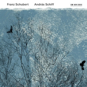 ดาวน์โหลดและฟังเพลง Schubert: Sonate in G-Dur, Op.78, D. 894 - Molto moderato e cantabile พร้อมเนื้อเพลงจาก Andras Schiff