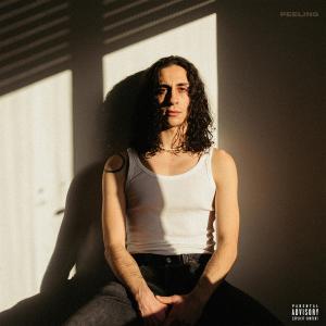 Album Feeling (Explicit) from 