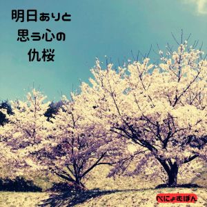 Listen to 明日ありと思う心の仇桜 song with lyrics from Penyompong