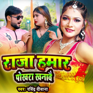 Album Raja Hamar Pokhara Khanave from Ravindra Diwana