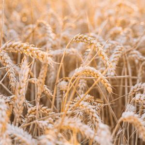 收聽BLKV的Its coming歌詞歌曲