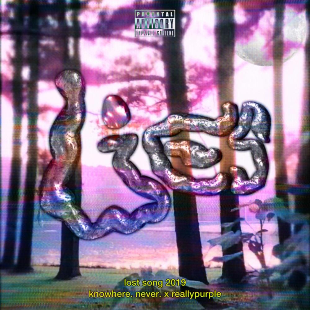 LIES (lost song 2019) (feat. knowhere. never. & reallypurple) (Explicit)