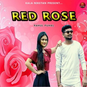 Listen to Red Rose song with lyrics from Rahul Puhal