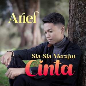 Listen to Sia Sia Merajut Cinta song with lyrics from Arief