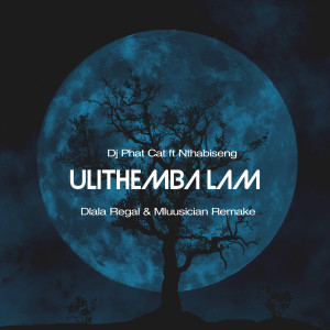 Dlala Regal的專輯Ulithemba lam (Remake)