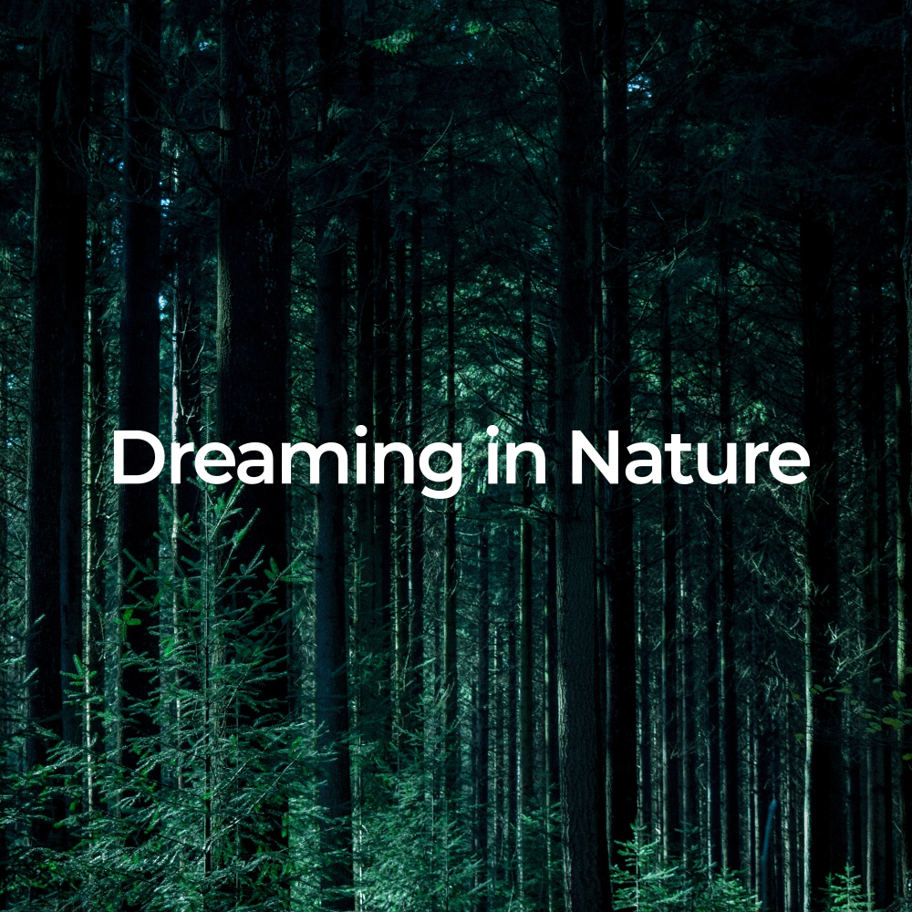 Peaceful Nature Echoes