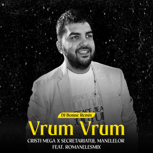 Album Vrum Vrum (Dj Bonne Remix) from CRISTI MEGA