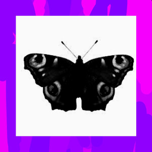 Listen to Stein Nach Stein (Explicit) song with lyrics from flockiiifr